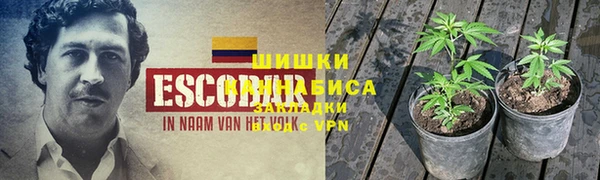 не бодяженный Алзамай