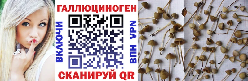 Псилоцибиновые грибы мухоморы  mega зеркало  Чаплыгин 